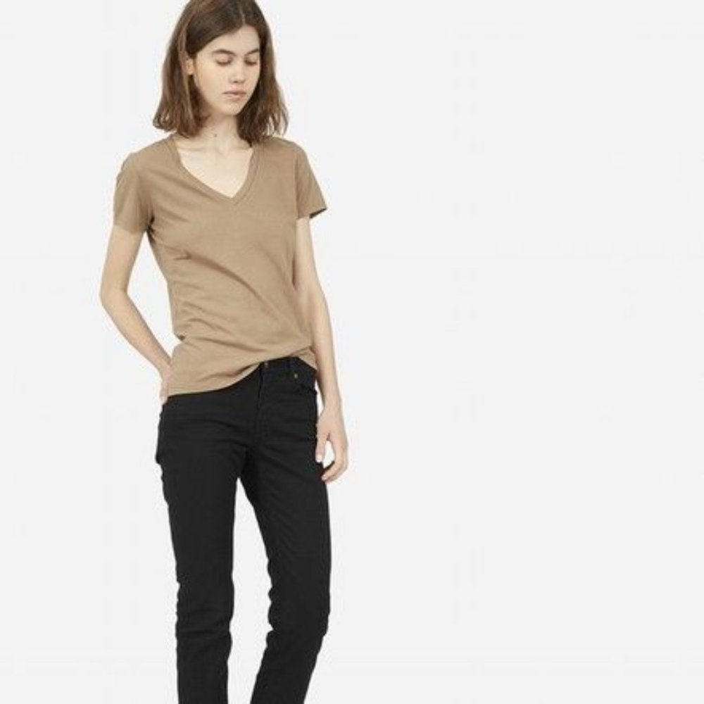 Everlane V Neck Tee in Clay